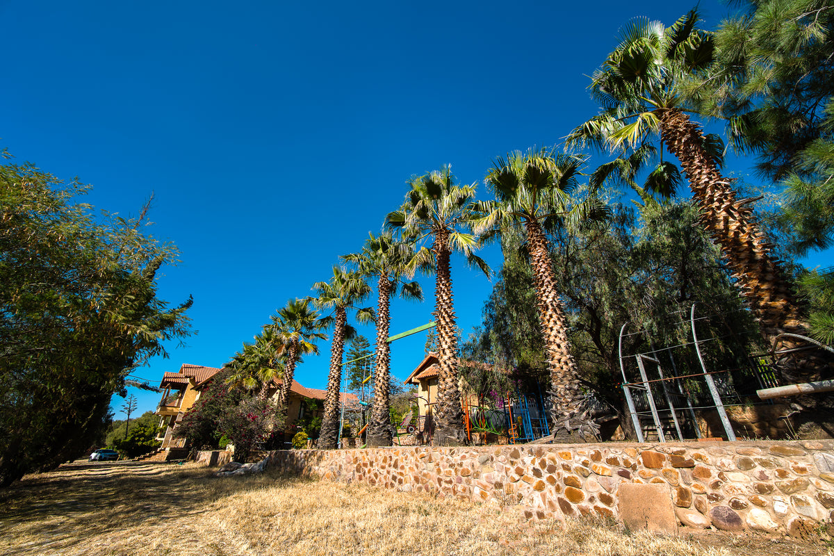🏡 Hacienda de Lujo en Venta | Exclusividad, Naturaleza y Potencial de Inversión