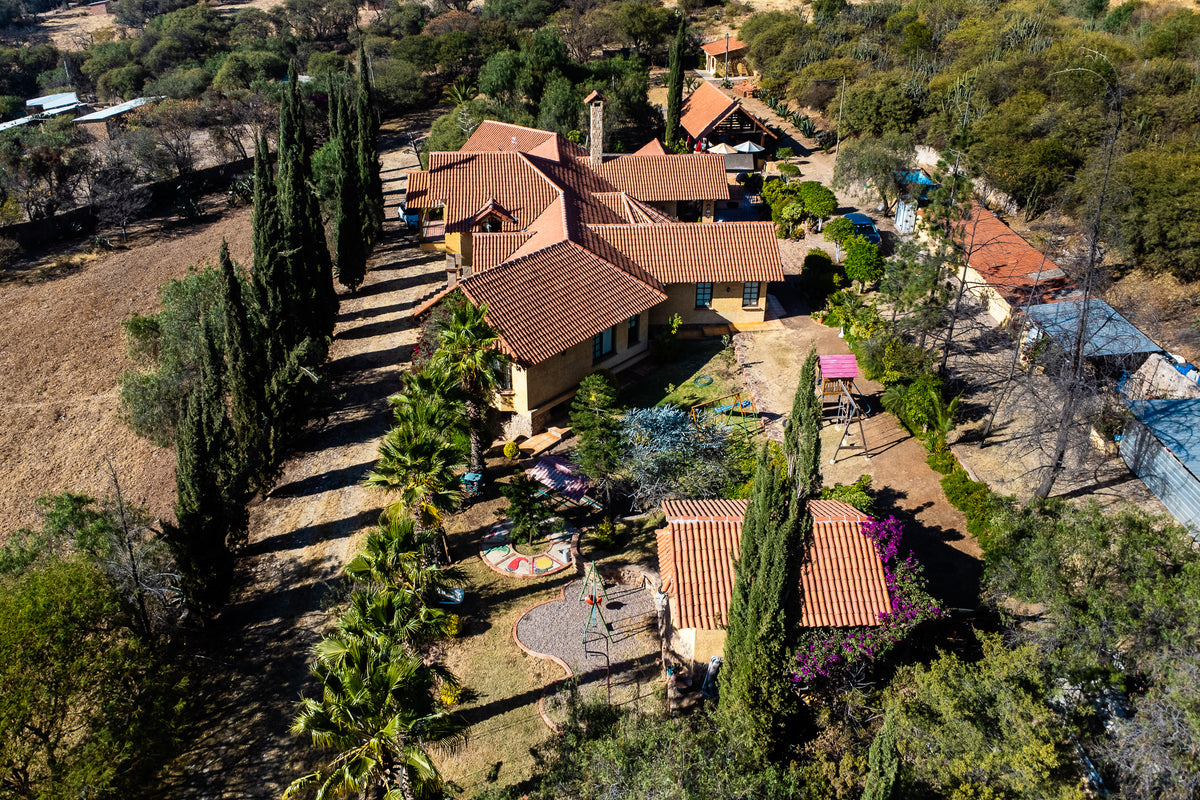 🏡 Hacienda de Lujo en Venta | Exclusividad, Naturaleza y Potencial de Inversión