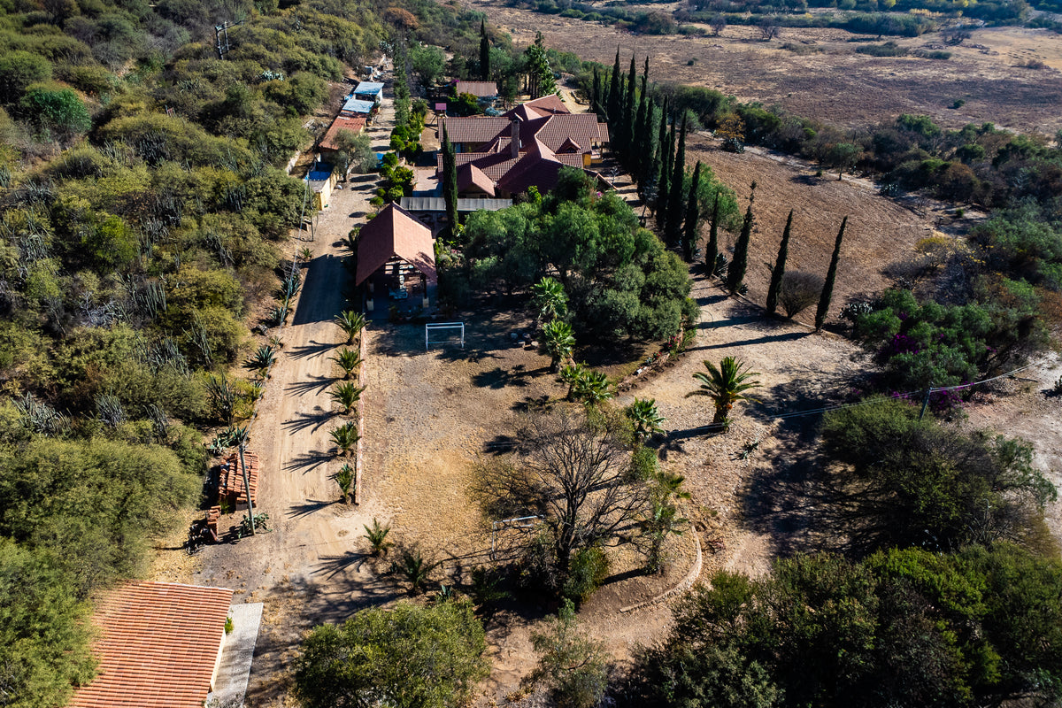 🏡 Hacienda de Lujo en Venta | Exclusividad, Naturaleza y Potencial de Inversión