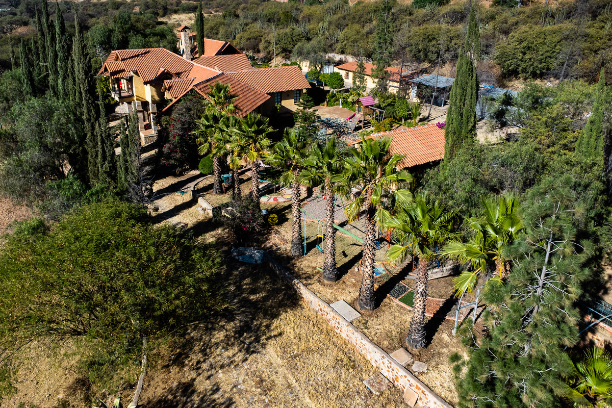 🏡 Hacienda de Lujo en Venta | Exclusividad, Naturaleza y Potencial de Inversión